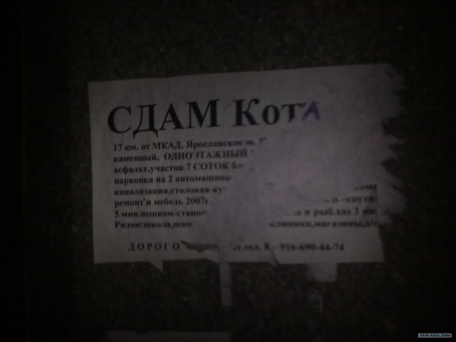 ЖЕСТЬ, как она есть