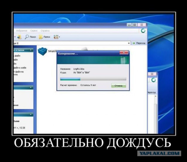 Весёлое из сети