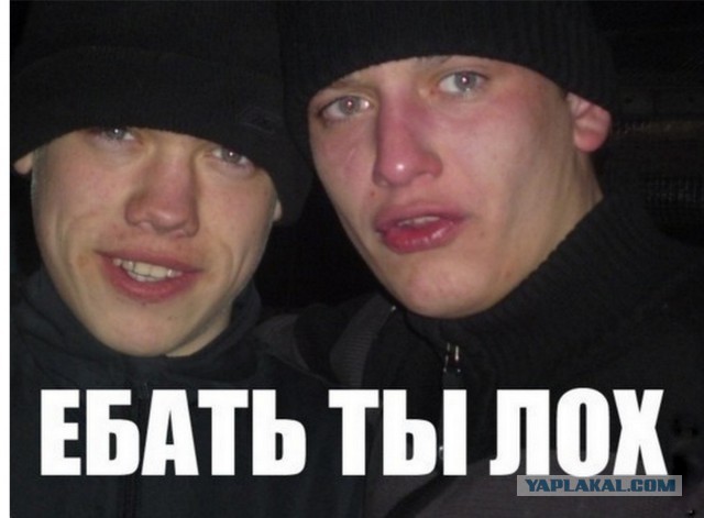 Ответ на "Знакомьтесь я дорожное быдло"