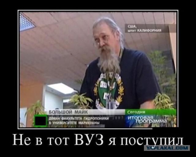 Кто какой ВУЗ закончил
