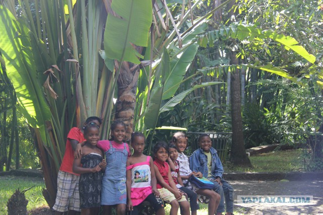 Россия и Маврикий ввели безвизовый режим