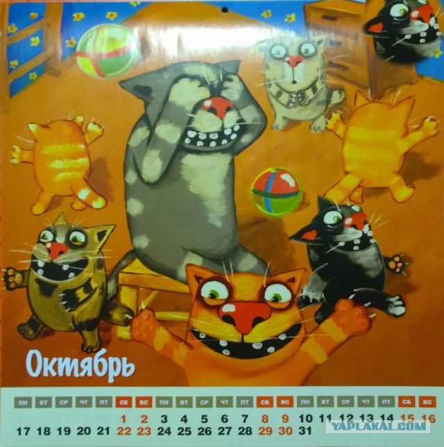 Котолендарь на 2016 год