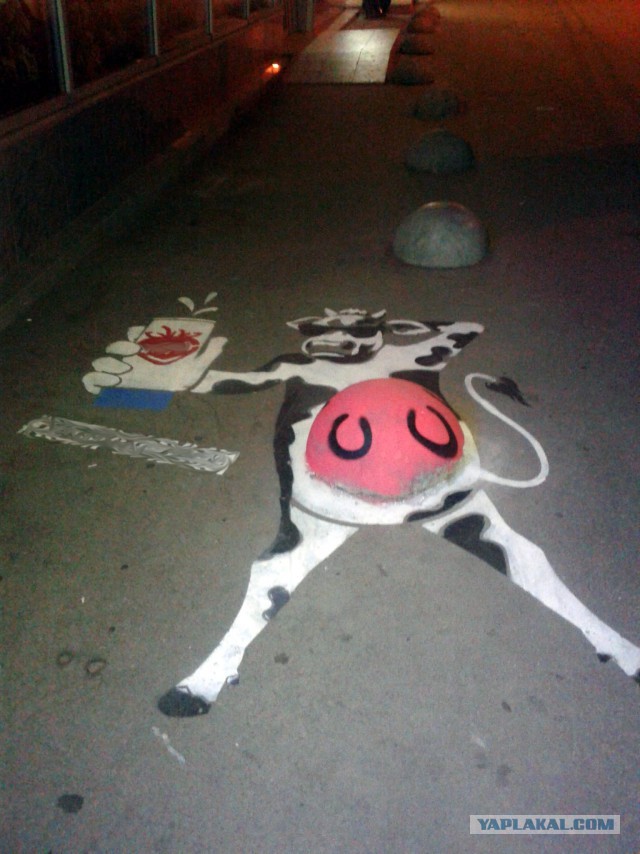 Подборка забавных картинок