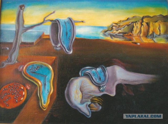 Кот сам знает, как ему удобно