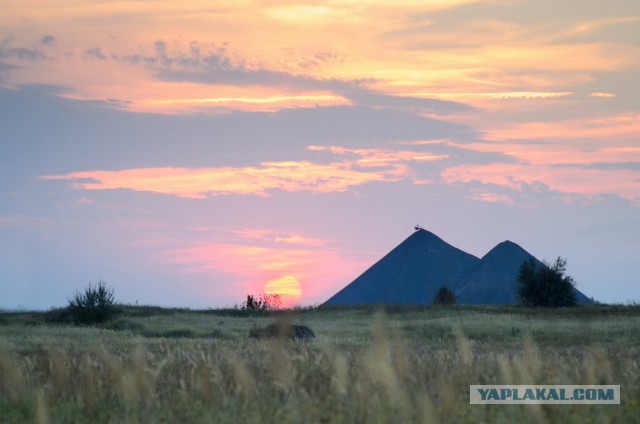 У меня сегодня ГОДОВЩИНА!