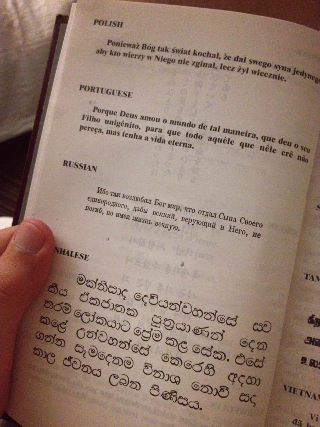 Как я побывал в США. Часть пятая. Заключительная