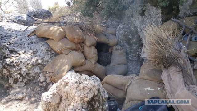 CNN: Россия нанесла первый авиаудар в Сирии