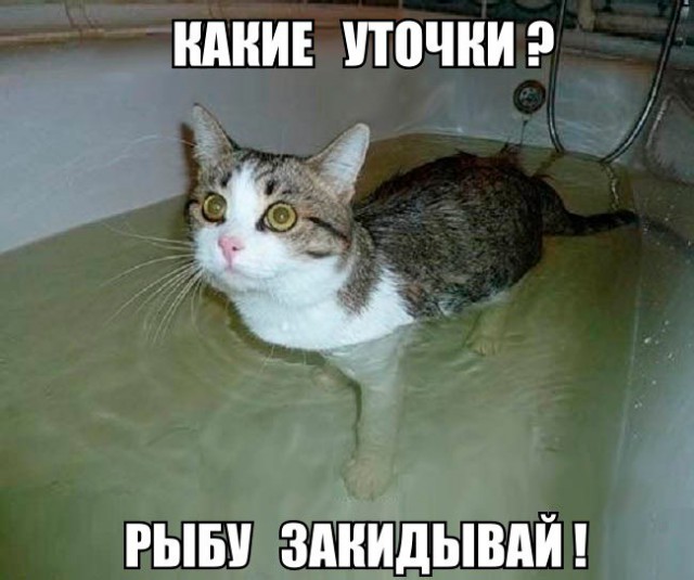 Картинок и гифок пост