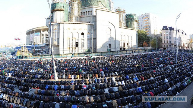Где миллион? Крестный ход РПЦ