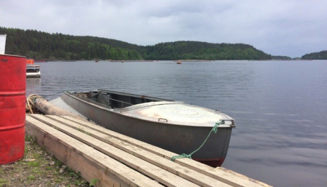 Пропавших на Ладожском озере детей ищут водолазы