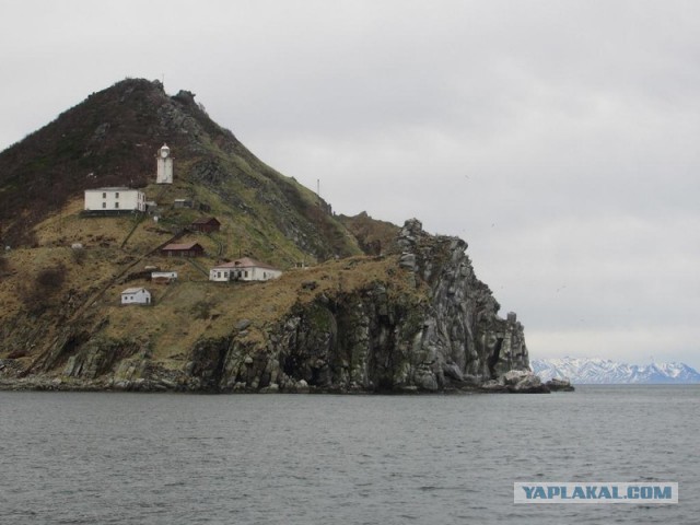 Морское меню Колымского рыбака