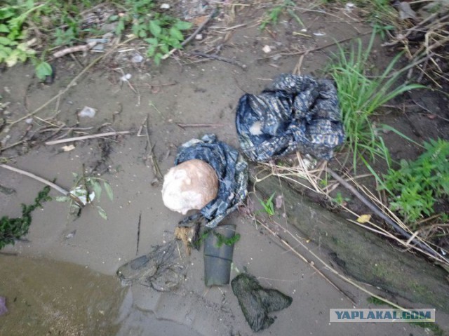 На берегу Москва-реки нашли десять пакетов с расчлененными телами