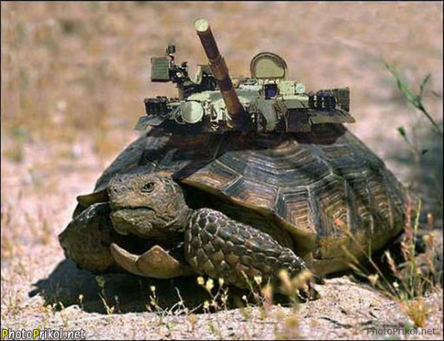 Wargaming 50! Пыщ пыщ, пробил! Урааа!