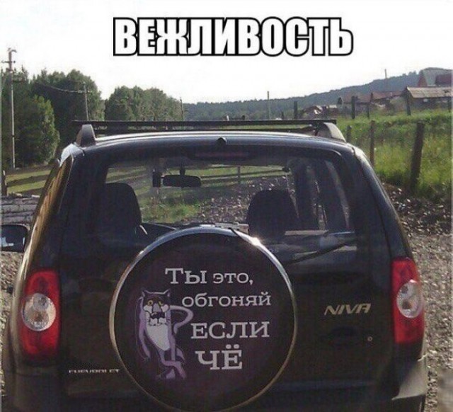 Просто картинки