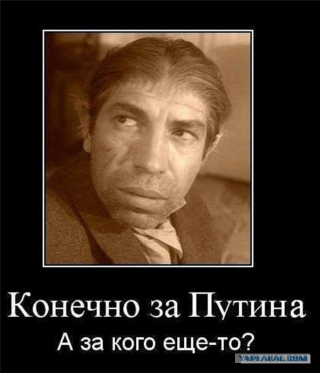 Путин виноват!