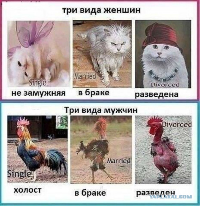 Родила от любовника: что делать? Истории неверных жён