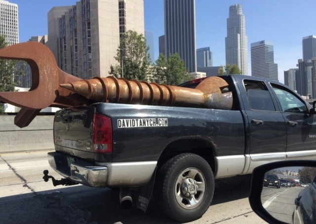 Лента прикольных картинок