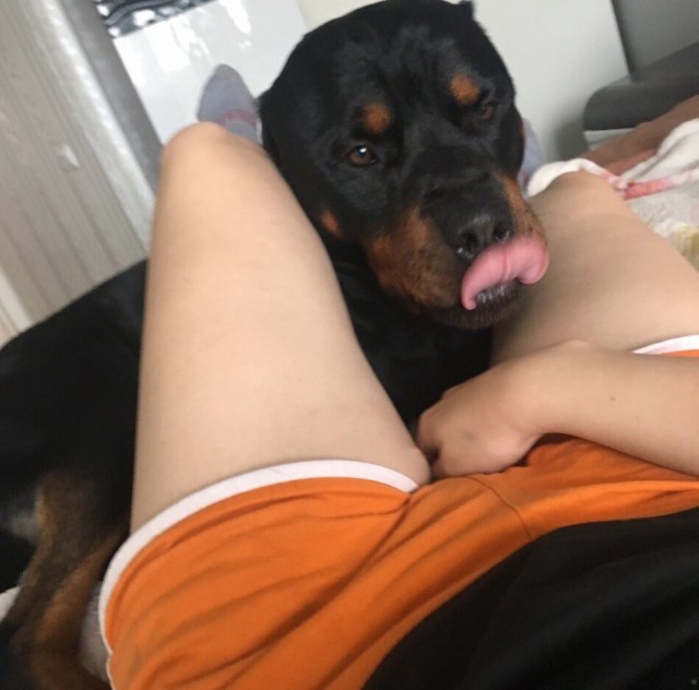 Лента прикольных картинок