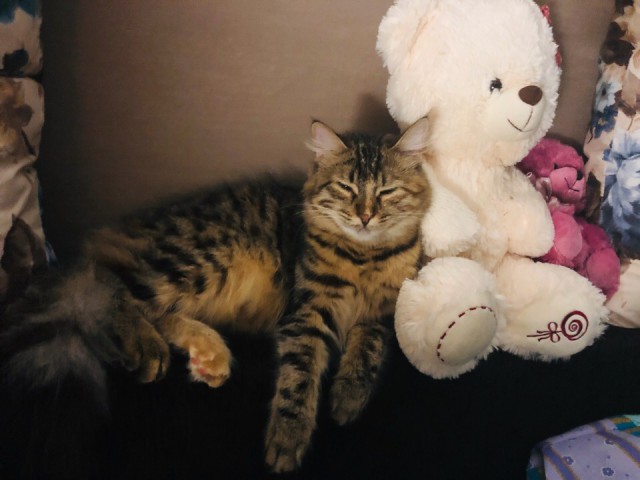 Немного милоты