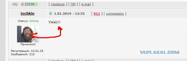 Гости первого января