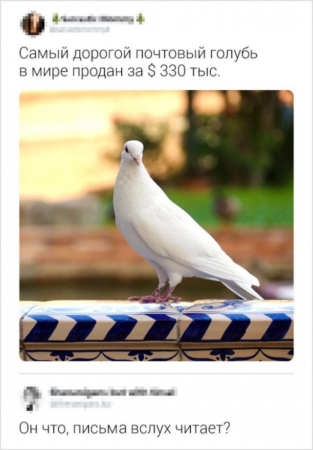 Фото, соц-сети и картинки с надписями