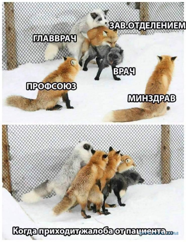 Инсульт. Остальным - приготовиться!