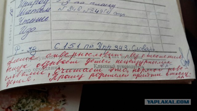 Записи в школьных дневниках и тетрадях