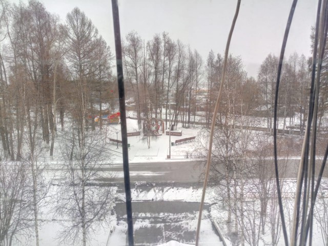 Лето, делимся видом из окна