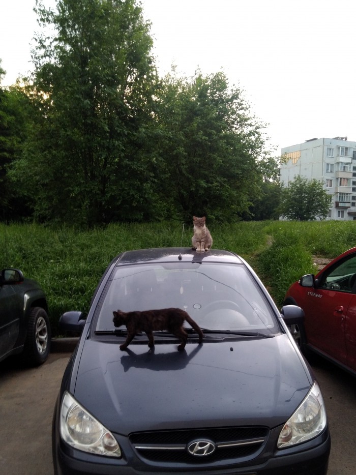 Протест!