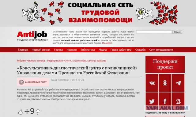 Помогите вернуть кота! Приют "Преданное сердце" украл кота и не отдает!