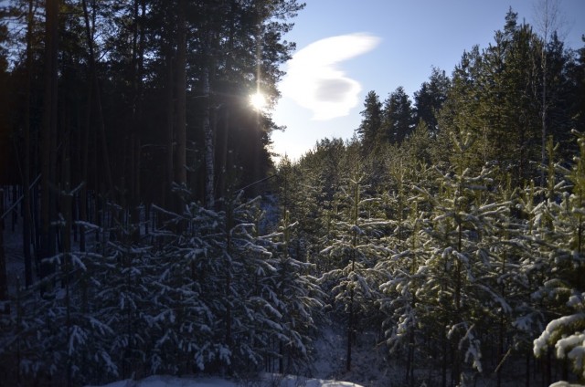 Немного зимних фото