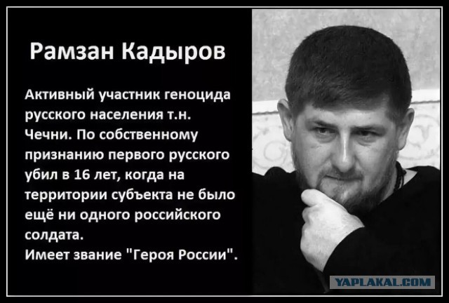 За коллаж на Кадырова задержали 25 человек