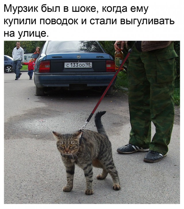 Чуток картинок. Ночные 7