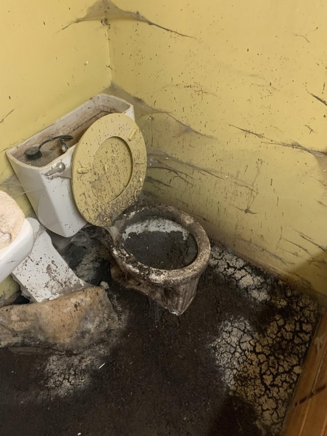 Туалеты мира