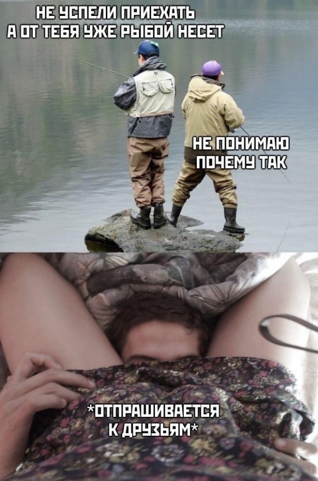Очень пошлые картинки про это.18+