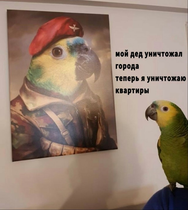 Позитивные картинки на 26.07.2020