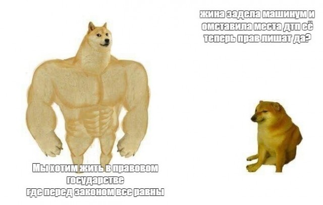 Лишат или не лишат?