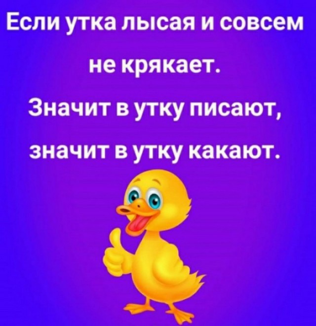 Бредзона 03.11.2020
