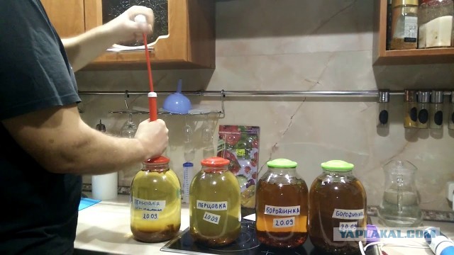 А покупают ли ваши знакомые алкоголь? Или делают его сами?