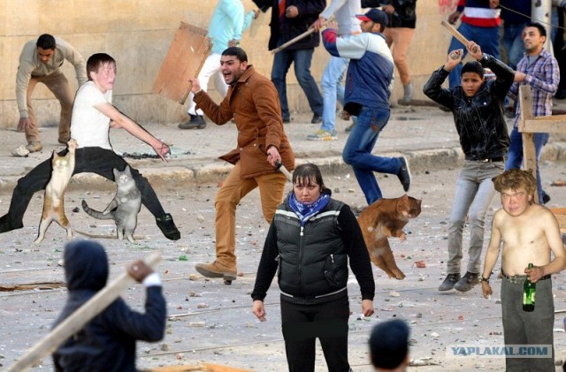 Фотожаба: Дискотека "Египет"