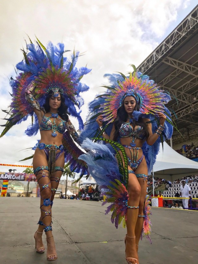 Карнавальных птичек пост