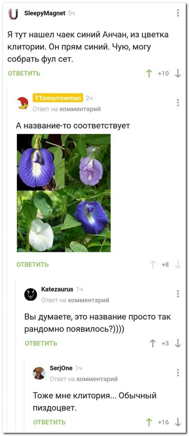Картинки и мемы для настроения 012