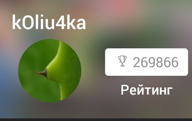Бредзона 29.04.21