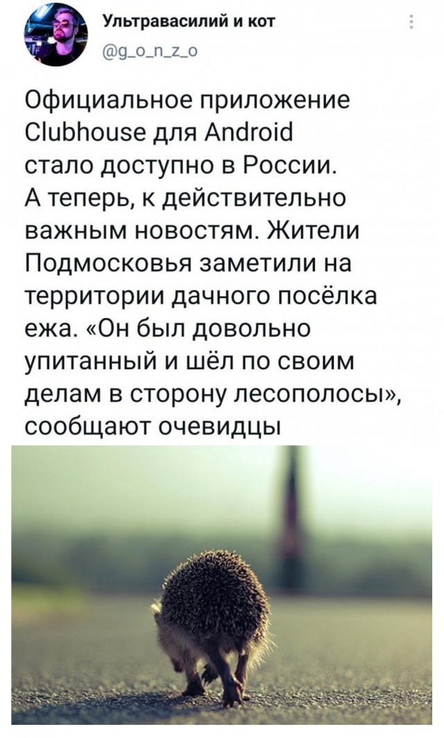 Картинки и мемы для настроения 025