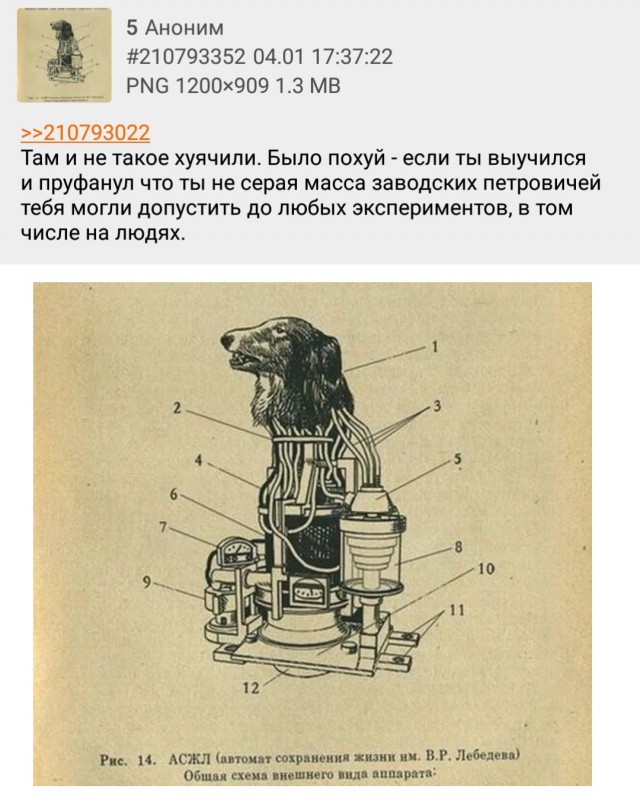 Картинки на понедельник 28.06.2021
