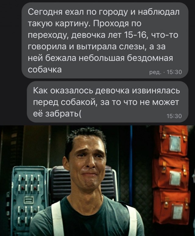Весёлый полтишок 16.12