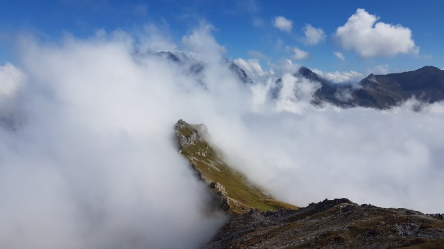 Покажи мне горы