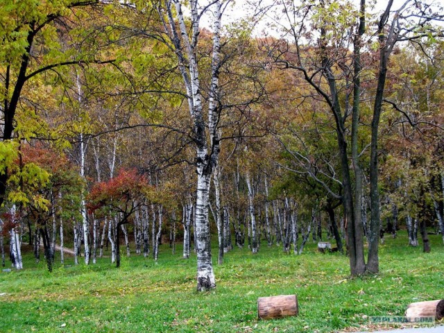Находка — главные ворота в Тихий океан