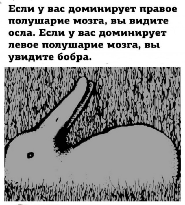 Так себе картинки 08.04.22