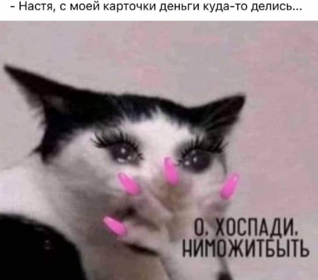 Картинки с надписями и всякие жизненные фразы